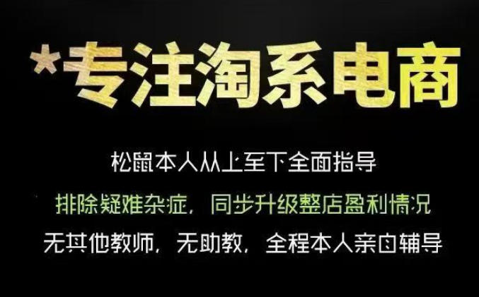松鼠会电商VIP课程，从基础布局到高阶优化，助你掌握淘宝运营逻辑，提升店铺流量与转化(更新0901) - 寻创社
