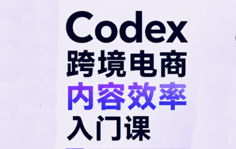 Codex跨境电商内容效率入门课 - 寻创社