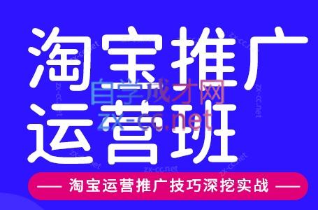 美迪电商·淘宝高级运营班+推广运营班(更新9月) - 寻创社