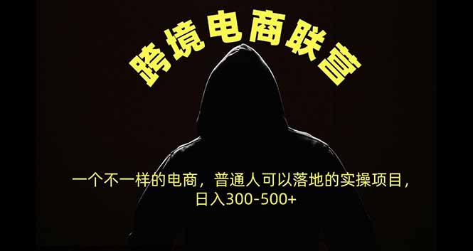 跨境电商联营，一个不一样的电商，普通人可操作日入300-500+ - 寻创社