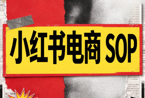 书豪必胜小红书电商sop(更新9月) - 寻创社
